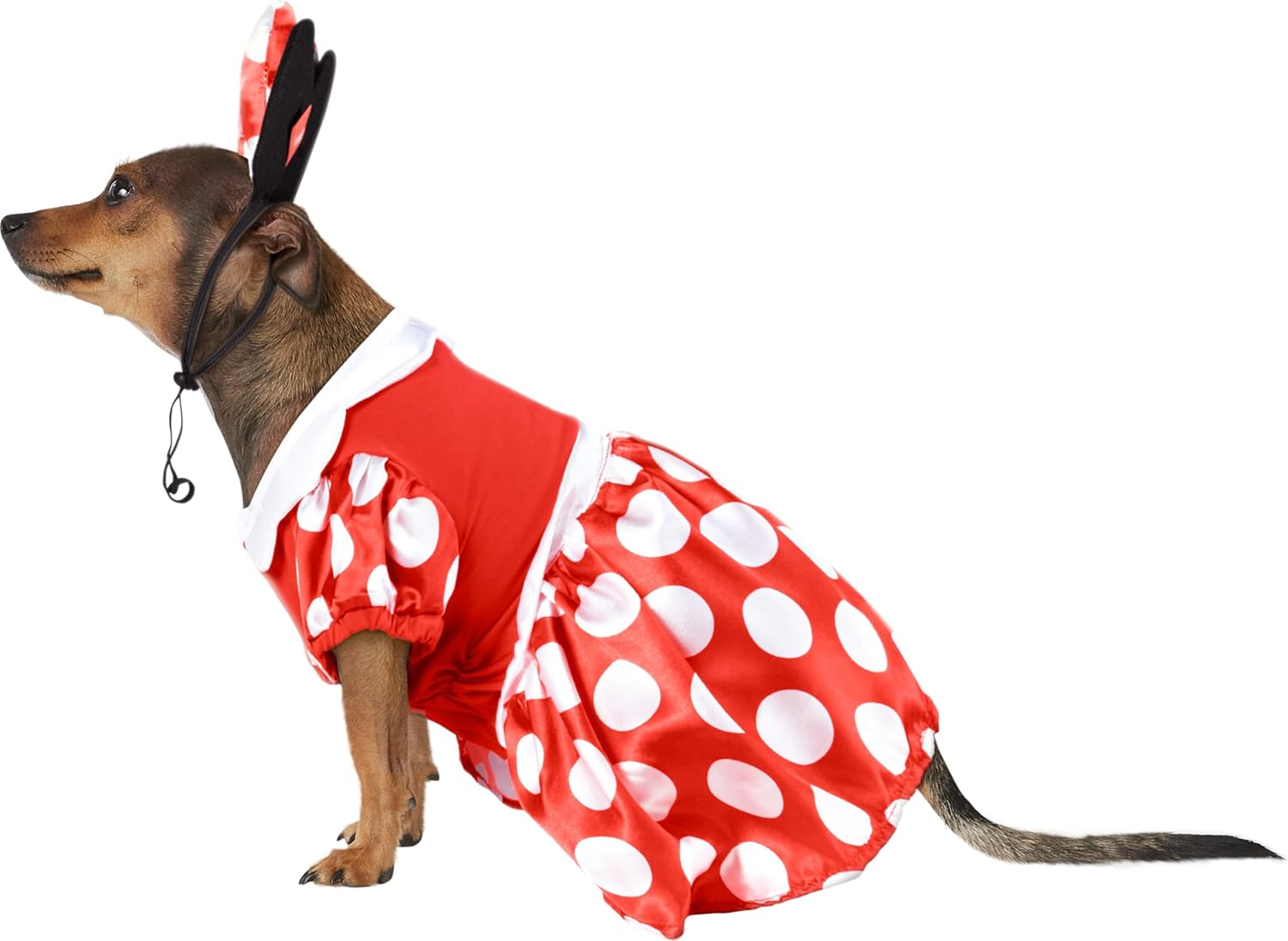 Disney- Minnie Mouse Pet Costume for For Dogs or Cats by Rubies, Small - 5