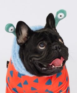 Fitwarm Hilarious Eyes Halloween Dog Monster Costume, Funny Costumes for Small Dogs Boy Girl, Pet Outfit, Red, Blue, Light Sea Green, XS - 4
