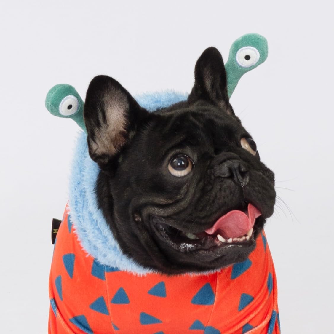 Fitwarm Hilarious Eyes Halloween Dog Monster Costume, Funny Costumes for Small Dogs Boy Girl, Pet Outfit, Red, Blue, Light Sea Green, XS - 4