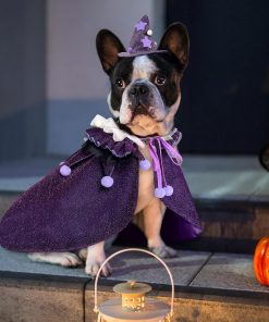 KOUPA Pet Halloween Costume with Hat, Dog Clothes Cosplay Wizard Cloak for Small Puppy Kitten Animal, Shiny Cat Outfit Suit for Party Holiday Christmas, Purple - 9