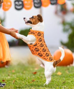 4-Pack Halloween Themed Dog Shirts Puppy Pumpkin Pattern Tank Tops Cute Skull Corn Candy Style Outfits for Small Boy Girl Puppy Festival Costume for Small Medium Dogs XS - 3