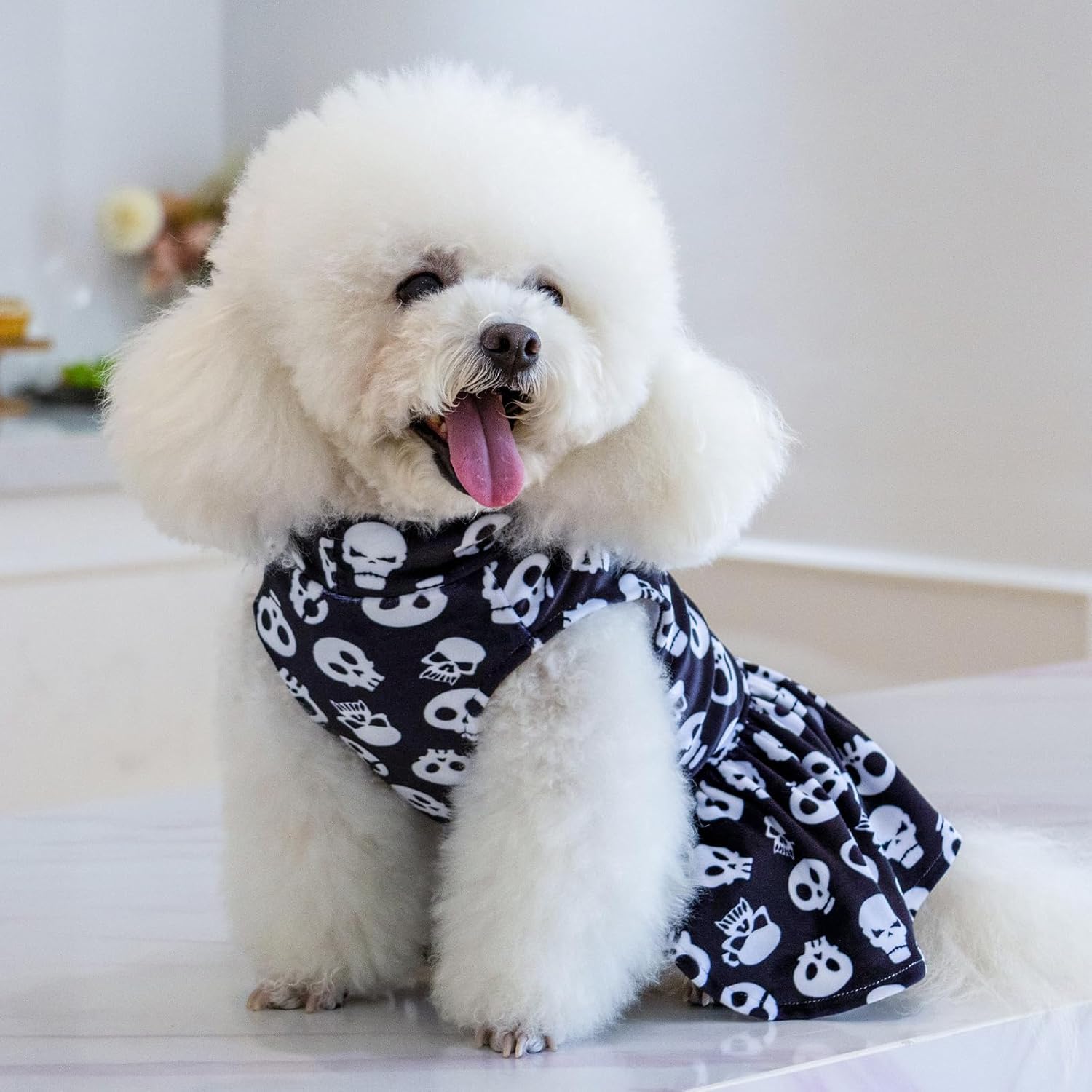 CuteBone Turtleneck Dog Velvet Dress Halloween Puppy Skirt Costume Pet Clothes Cat Apparel with Bow Hair Rope for Small Dogs CVD11XS - 3