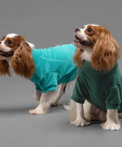 Fitwarm 3 Pack Fleece Sweater, Turtleneck Sweatshirt, Winter Clothes for Small Dogs & Cats, Pet Pullover Jumper, Cat Apparel, Dark Green, Teal Green, Olive Green, XS - 2