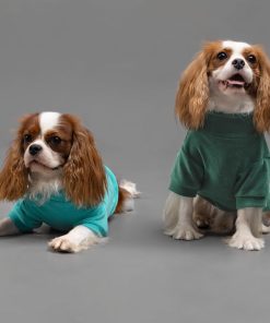 Fitwarm 3 Pack Fleece Sweater, Turtleneck Sweatshirt, Winter Clothes for Small Dogs & Cats, Pet Pullover Jumper, Cat Apparel, Dark Green, Teal Green, Olive Green, XS - 4