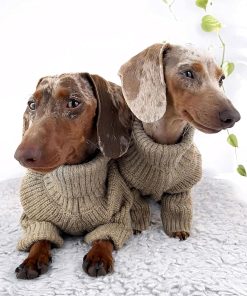 Fitwarm Thermal Knitted Dog Sweater Doggy Winter Coat Pet Clothes Doggie Turtleneck Jacket Puppy Outfits Cat Sweatsuit Sage Green XS - 3