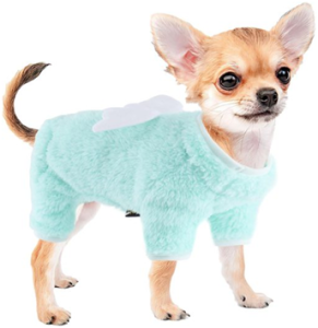Sweater Outfits for Small Breeds