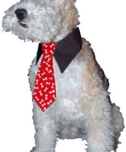 Calvin K-nine Holiday Necktie with Christmas Presents (S) 5 Long-2