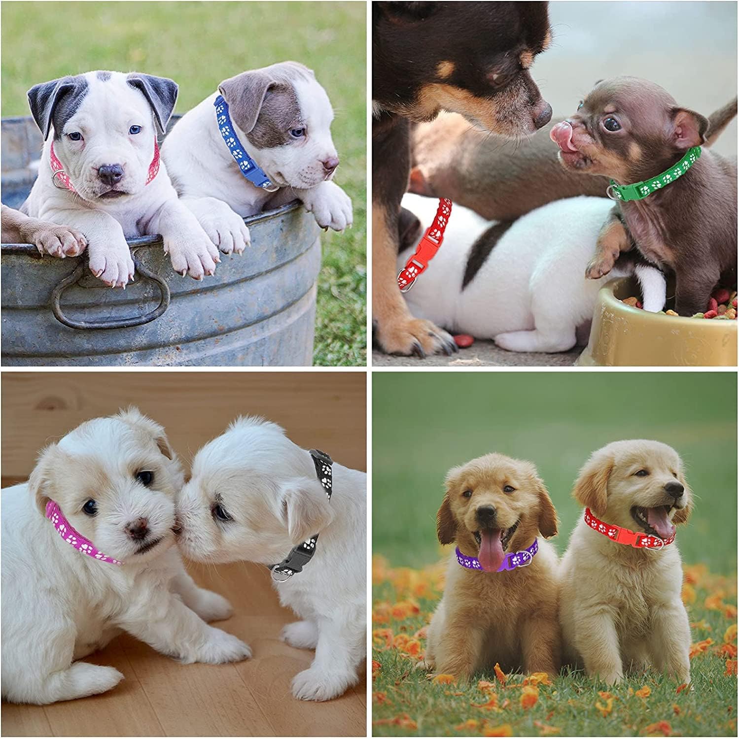 Chenkaiyang 12 Pack Puppy Collars for Litter, Adjustable Puppy ID Collars Soft Nylon Whelping Collars for Newborn Litter Pets - 6