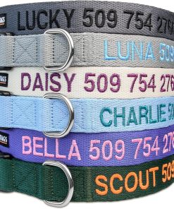 GoTags Personalized Dog Collar, Custom Embroidered with Pet Name and Phone Number in Blue, Black, Pink, Red and Orange, for Boy and Girl Dogs or Cats, Adjustable Sizes, Small, Medium, and Large - 2