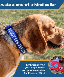 GoTags Personalized Dog Collar, Custom Embroidered with Pet Name and Phone Number in Blue, Black, Pink, Red and Orange, for Boy and Girl Dogs or Cats, Adjustable Sizes, Small, Medium, and Large - 3