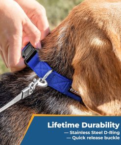 GoTags Personalized Dog Collar, Custom Embroidered with Pet Name and Phone Number in Blue, Black, Pink, Red and Orange, for Boy and Girl Dogs or Cats, Adjustable Sizes, Small, Medium, and Large - 6