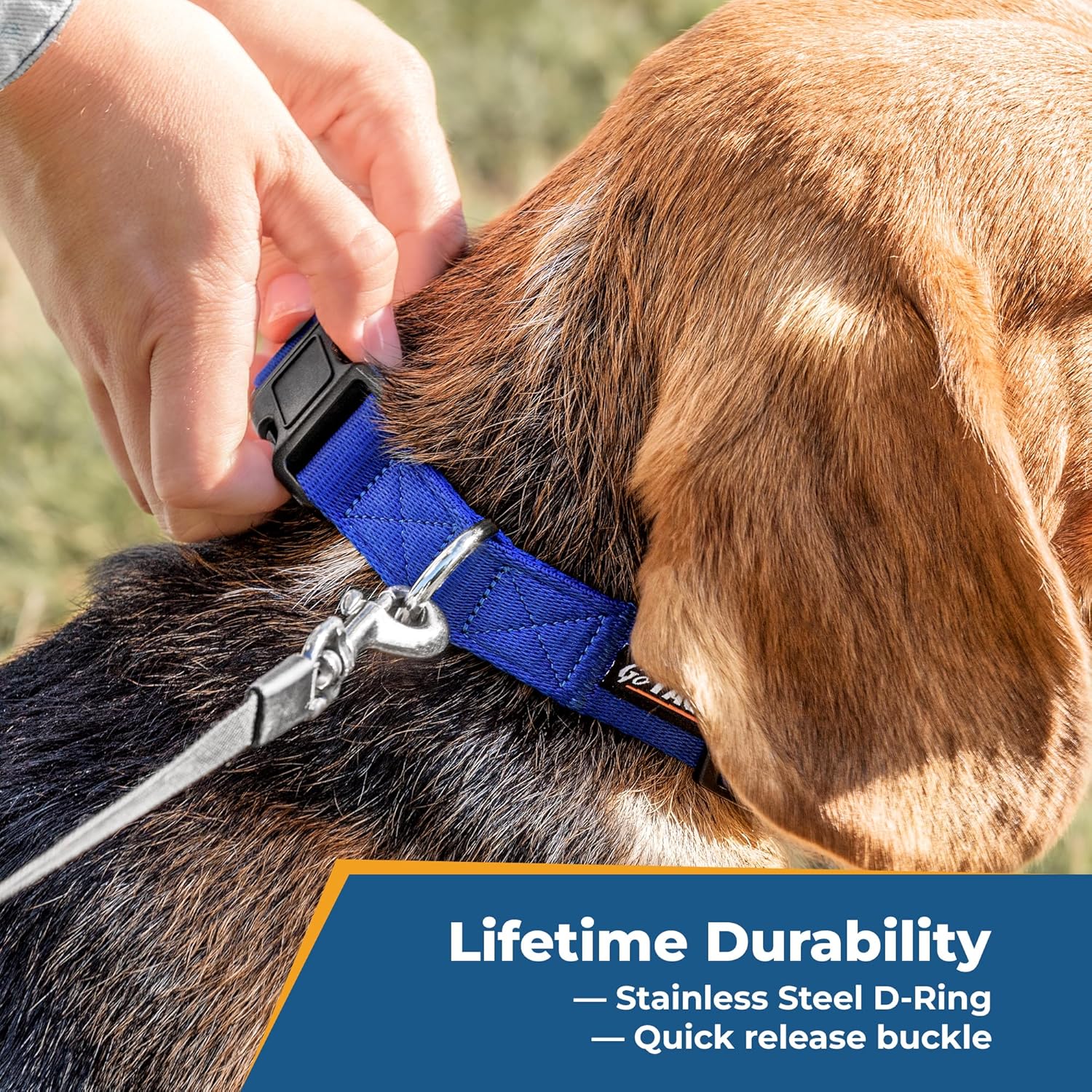 GoTags Personalized Dog Collar, Custom Embroidered with Pet Name and Phone Number in Blue, Black, Pink, Red and Orange, for Boy and Girl Dogs or Cats, Adjustable Sizes, Small, Medium, and Large - 6