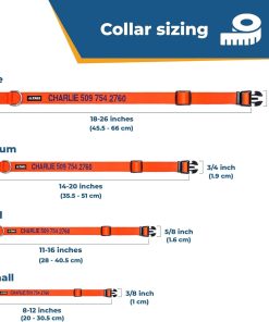 GoTags Personalized Dog Collar, Custom Embroidered with Pet Name and Phone Number in Blue, Black, Pink, Red and Orange, for Boy and Girl Dogs or Cats, Adjustable Sizes, Small, Medium, and Large - 8