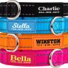 PAWBLEFY Personalized Dog Collars - Reflective Nylon Collar Customized with Name and Phone Number Adjustable Sizes for Small Dogs, Medium, Large 4 Colors Male Female boy Girl Puppies - 1
