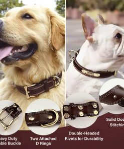 Personalized Custom Leather Dog Collar with Engravable Nameplate - Durable Name Tag Collar - Customizable Dog Collar - Comfortable ID Collars for Small, Medium, Large Dogs - 2