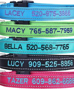 Personalized Dog Collar, Custom Embroidered Pet Name and Phone Number 4 Adjustable Sizes X-Small Small Medium Large Quick Release Buckle and D-Ring - 1