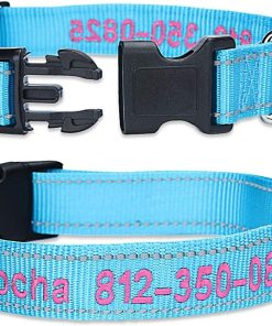 Personalized Dog Collar, Custom Embroidered Pet Name and Phone Number 4 Adjustable Sizes X-Small Small Medium Large Quick Release Buckle and D-Ring - 3