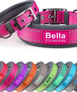 Personalized Dog Collar with Name & Phone Number - Reflective Ultra Wide Soft Neoprene Padded - Durable Metal Buckle for Large, Medium, and Small Dogs in Pink, Purple, Blue & Other Stylish Colors - 1