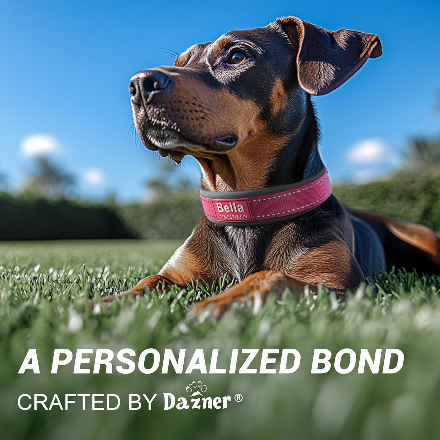 Personalized Dog Collar with Name & Phone Number - Reflective Ultra Wide Soft Neoprene Padded - Durable Metal Buckle for Large, Medium, and Small Dogs in Pink, Purple, Blue & Other Stylish Colors - 2