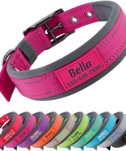 Personalized Dog Collar with Name and Phone Number - Durable Metal Buckle - Ultra Wide Soft Neoprene Padded - Adjustable Reflective Weatherproof Dog Collar for Large Medium and Small Dogs - 1