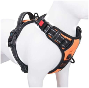 Dog Harnesses for Small Breeds