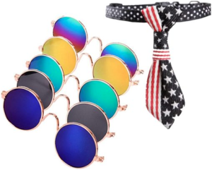 Buy Chihuahua Accessories and Gifts