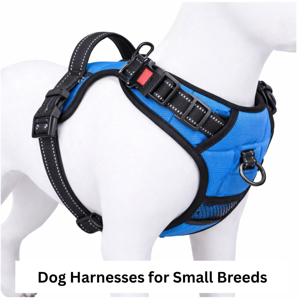 Dog Harnesses for Small Breeds