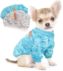 Chihuahuas Warm During Winter
