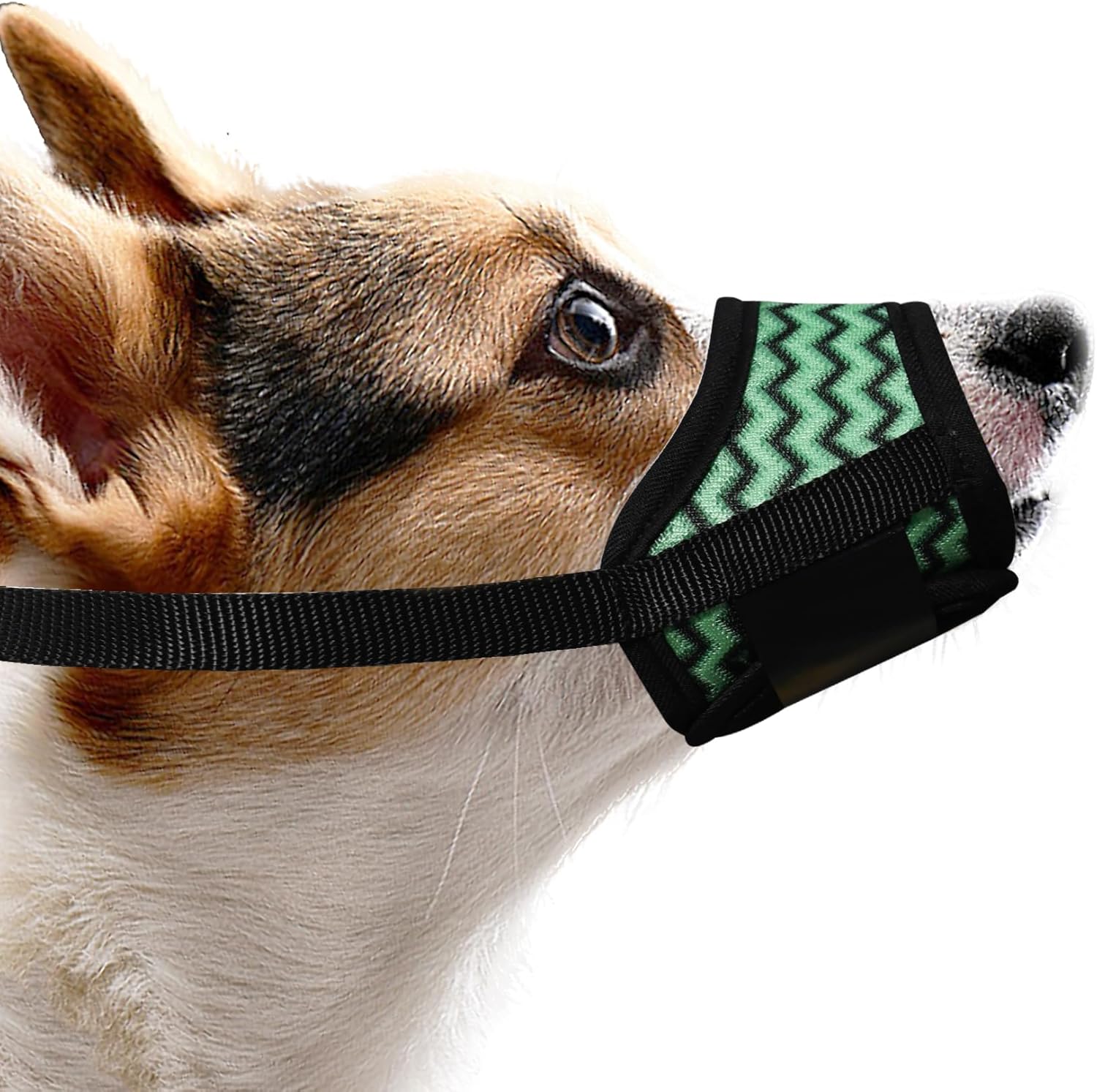 Dog Muzzle, Comfortable Air Mesh Breathable Muzzle Wavy Stripe Adjustable Drinkable Loop Pattern Pets Muzzles for Small Dogs, Stop Biting Barking and Chewing for Chihuahua Green S - 1