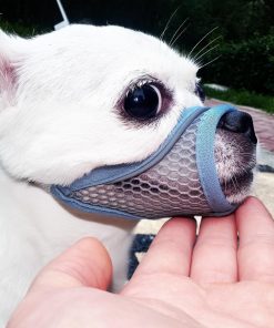 Dog Muzzle, Soft Mesh Muzzles for Small Dogs, Chihuahua Shih Tzu Yorkie Pom, Short Snout Mouth Guard for Barking Biting Grooming, Breathable Adjustable Puppy Muzzle (Summer Blue, M) - 1