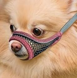 Dog Muzzle, Soft Mesh Muzzles for Small Dogs, Chihuahua Yorkie Pom, Short Snout Mouth Guard for Barking Biting Grooming, Breathable Adjustable Puppy Muzzle (Cherry Red, XXS) - 1