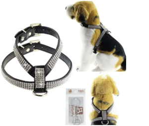 Harness for Chihuahua Puppy