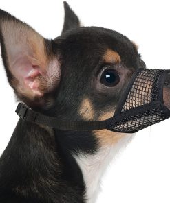 Mayerzon Dog Muzzle, Soft Mesh Muzzles for Small Medium Large Dogs Chihuahua Poodle Husky Labrador Retriever, Breathable Dog Mouth Guard for Biting Chewing Grooming, Allow Panting Drinking - 1