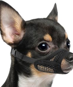 Mayerzon Mesh Muzzle for Short Snout and Small Medium Dogs Anti-Biting, Focus on Brachycephalic Dogs like Chihuahua Pomeranian, Breathable Fabric, Opening Front, Allow Panting - 1