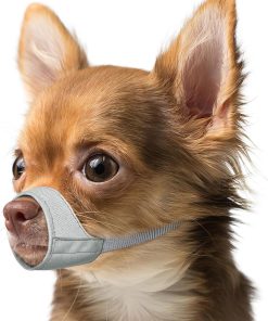 Mayerzon Short Snout Dog Muzzle, Small Muzzle for Chihuahua Shih Tzu American Bully Boxer Puppy, Soft Fabric Mouth Cover for Grooming Vet Visits, Prevent Biting Chewing Fighting - 1