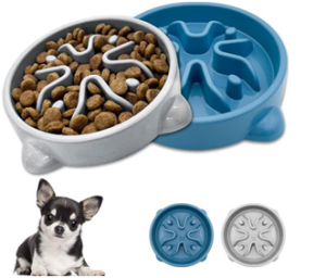 Best Food Bowls for Chihuahuas