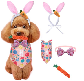 Best Toys for Chihuahua Dogs
