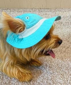 Alternative view of Dog Outdoor Hat with Ear Hole Round Brim Summer Dog Puppy Cat Suncare Cooling Bucket Hat Cute Active Sun Protection Pet Caps (Blue, Medium)