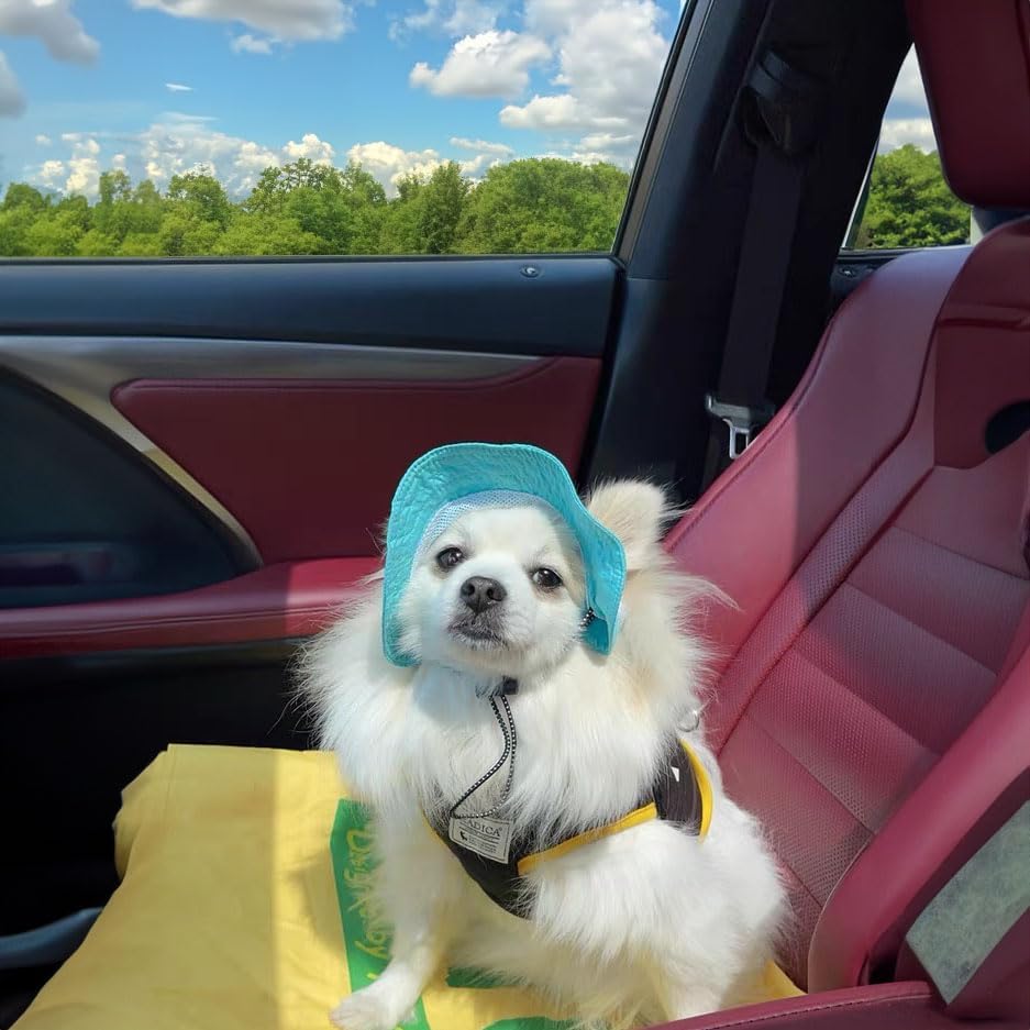 Dog Outdoor Hat with Ear Hole Round Brim Summer Dog Puppy Cat Suncare Cooling Bucket Hat Cute Active Sun Protection Pet Caps (Blue, Medium) - Image 3