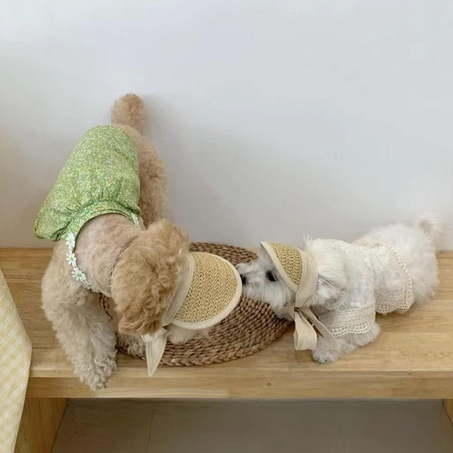 Handmade Straw Dog Sun Protection Hat Baseball Cap,Adjustable Pet Visor Cap Beach Party Hat for Small Medium Dog Like Yorkie Chihuahua Bulldog Corgi (Small, Beige) - Image 3